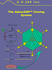 AdenoZAP Manual